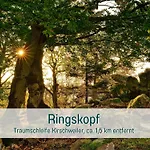 Traumweiler Ferienhaeuser Am Nationalpark Hunsrueck Hochwald - Barrierearm Nyaraló Kirschweiler