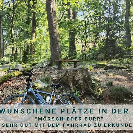 Traumweiler Ferienhaeuser Am Nationalpark Hunsrueck Hochwald - Barrierefrei -teilweise Hundefreundlich - Privater Garten - Beginnt Direkt Am Haus Σπίτι διακοπών *