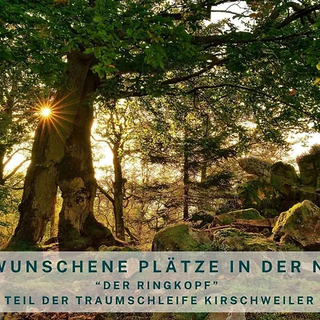 Semesterbostad Traumweiler Ferienhaeuser Am Nationalpark Hunsrueck Hochwald - Barrierefrei -teilweise Hundefreundlich - Privater Garten - Beginnt Direkt Am Haus Kirschweiler