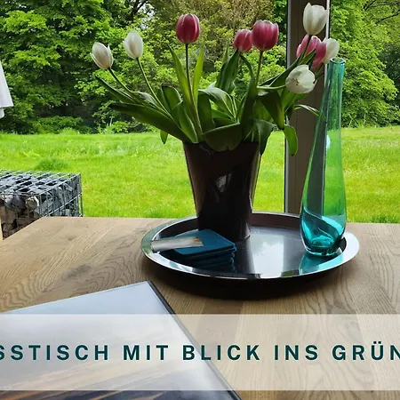 Traumweiler Ferienhaeuser Am Nationalpark Hunsrueck Hochwald - Barrierefrei -teilweise Hundefreundlich - Privater Garten - Beginnt Direkt Am Haus *