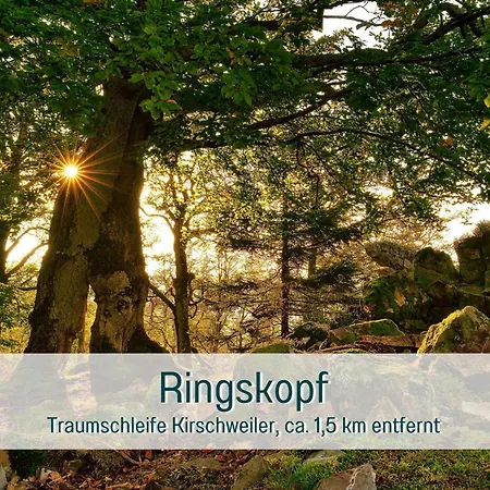 Traumweiler Ferienhaeuser Am Nationalpark Hunsrueck Hochwald - Barriearm - Mit Effektiver Kuehlung Holiday home Kirschweiler