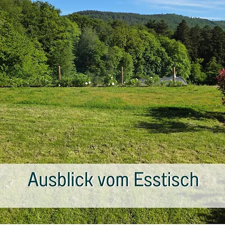 Traumweiler Ferienhaeuser Am Nationalpark Hunsrueck Hochwald - Barriearm - Mit Effektiver Kuehlung Dom wakacyjny Kirschweiler