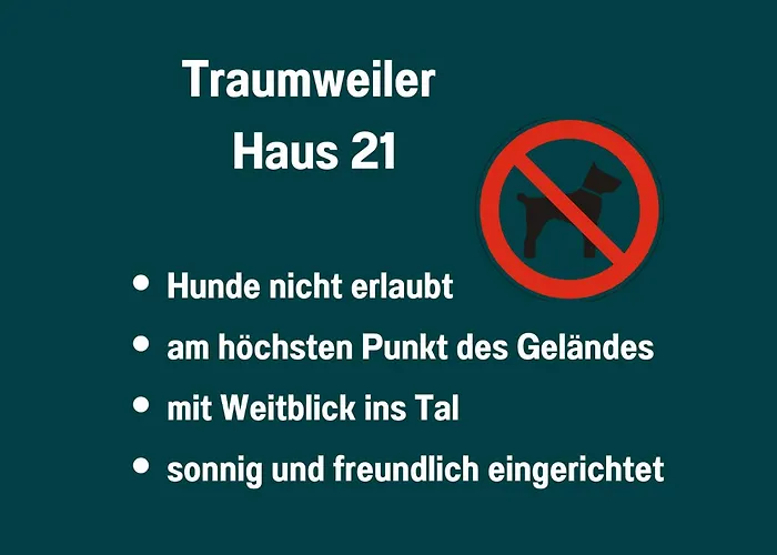 Traumweiler Ferienhaeuser Am Nationalpark Hunsrueck Hochwald - Barrierefrei -teilweise Hundefreundlich - Privater Garten - Beginnt Direkt Am Haus Kirschweiler