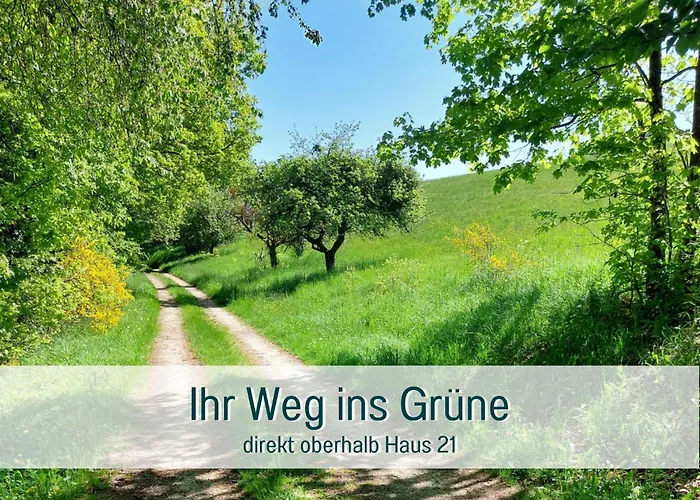 Traumweiler Ferienhaeuser Am Nationalpark Hunsrueck Hochwald - Barrierefrei -teilweise Hundefreundlich - Privater Garten - Beginnt Direkt Am Haus Holiday home