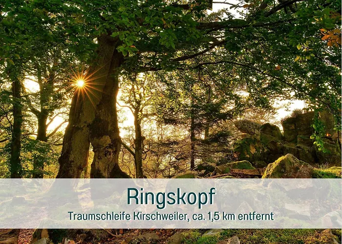 Traumweiler Ferienhaeuser Am Nationalpark Hunsrueck Hochwald - Barrierefrei -teilweise Hundefreundlich - Privater Garten - Beginnt Direkt Am Haus Holiday home Kirschweiler